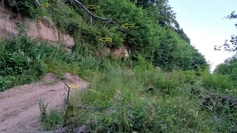 Limberg-Nord